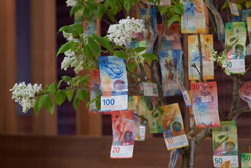 Der Geldbaum im Studio von Höhle der Löwen, ein mit 10er, 20er, 50er und 100er Note dekorierter Baum
